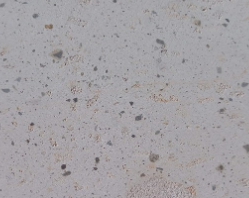 Color Blanco Esperanza